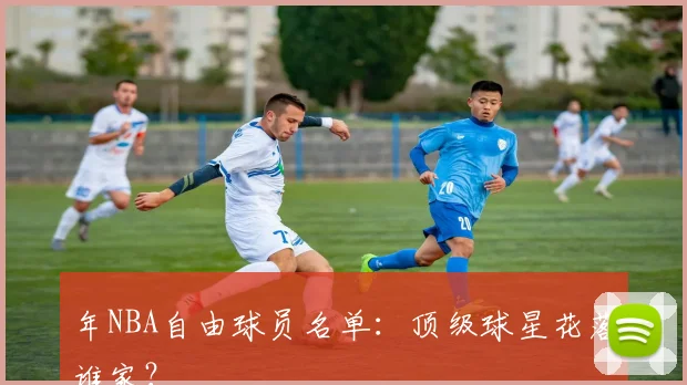 年NBA自由球员名单:顶级球星花落谁家?