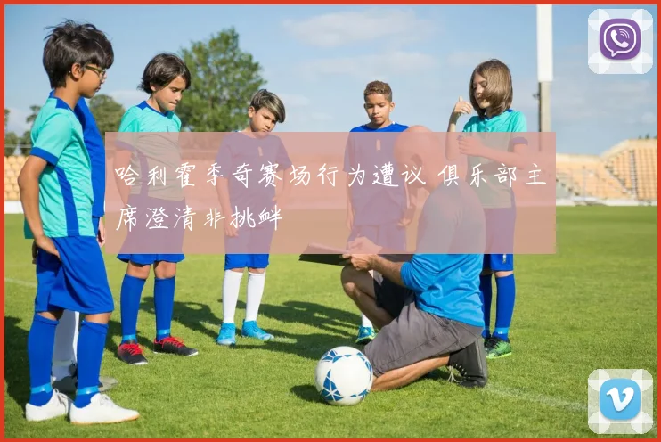哈利霍季奇赛场行为遭议 俱乐部主席澄清非挑衅