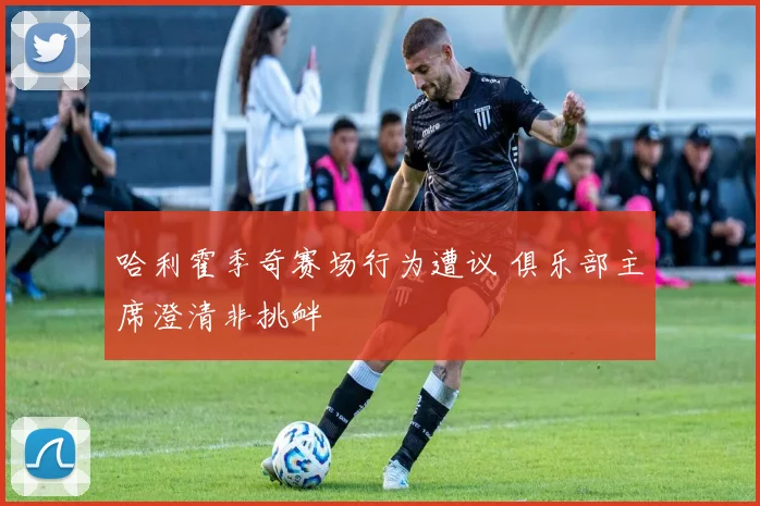 哈利霍季奇赛场行为遭议 俱乐部主席澄清非挑衅